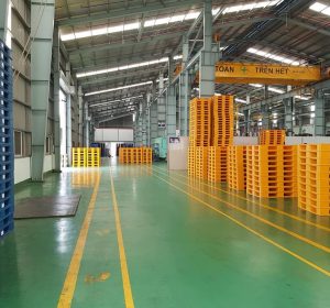 Pallet nhựa là gì? Các tiêu chuẩn và chất liệu làm nên pallet nhựa